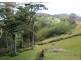 95 Cumming Street, Eungella QLD 4757