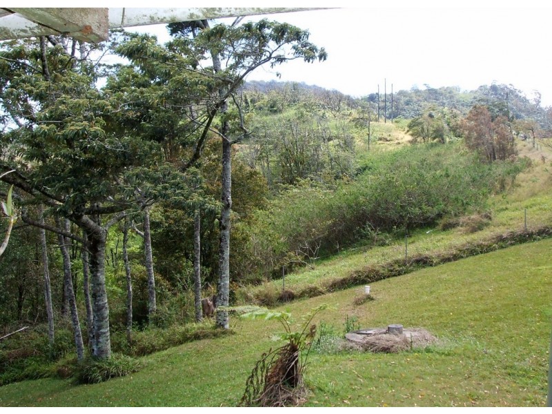 95 Cumming Street, Eungella QLD 4757