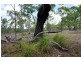 30 Howlands Road, Ilbilbie QLD 4738