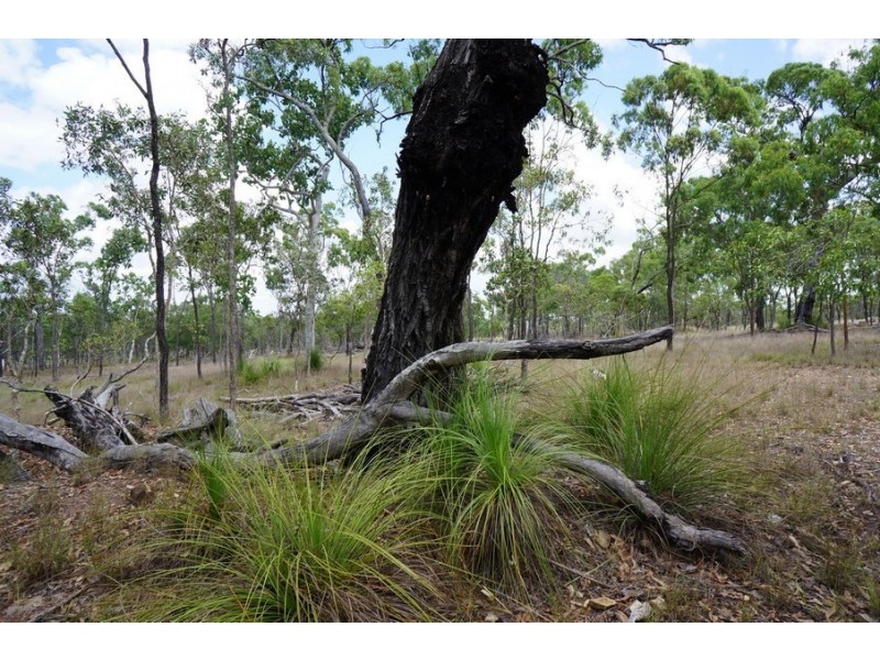 30 Howlands Road, Ilbilbie QLD 4738