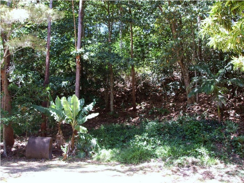 14 Sonny Boy Creek Road, Eungella QLD 4757