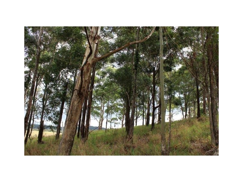 156 Boons Road, Dalrymple Heights QLD 4757