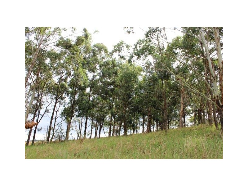 156 Boons Road, Dalrymple Heights QLD 4757