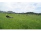 Lot 3 Old Bowen Coach Road, Balnagowan QLD 4740