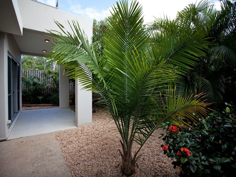 5/6-24 Belangason Way, Shoal Point QLD 4750