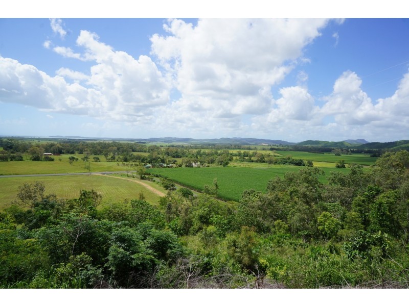 1437 Yakapari – Seaforth Road, Mount Jukes QLD 4740