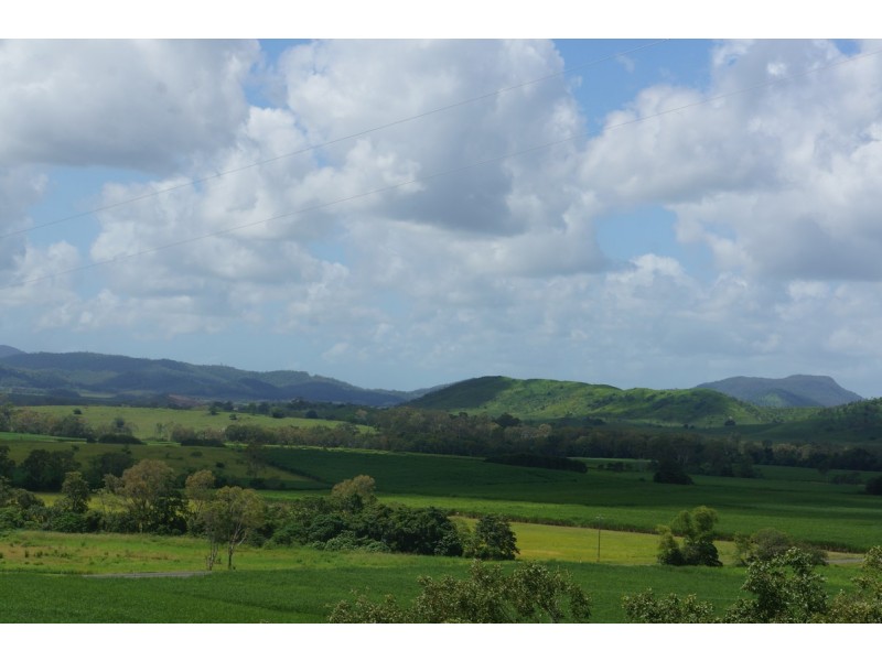 1437 Yakapari – Seaforth Road, Mount Jukes QLD 4740