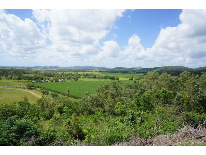 1437 Yakapari – Seaforth Road, Mount Jukes QLD 4740