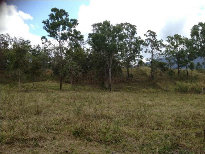 51 De Bonis Road, Netherdale QLD 4756