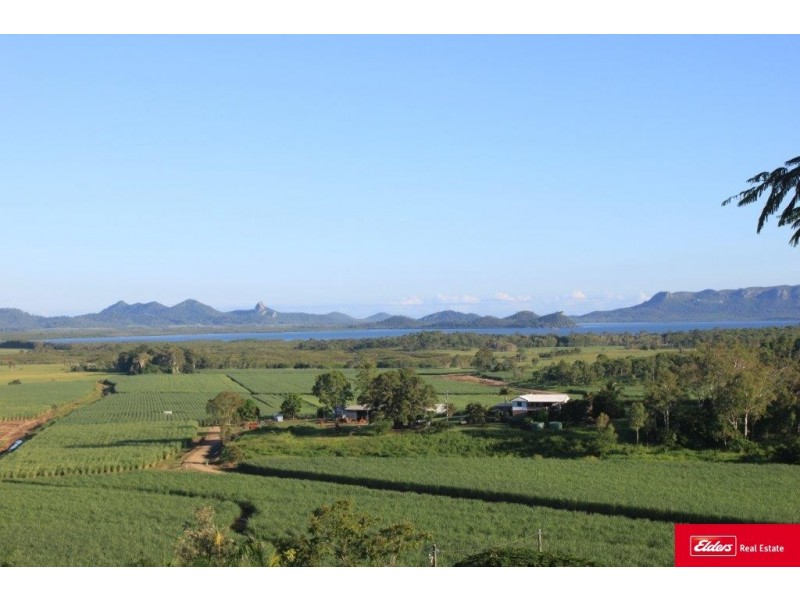 159 Olletts Road, Habana QLD 4740