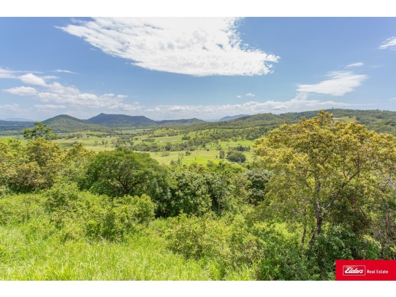 165 Gardiners Road, Habana QLD 4740