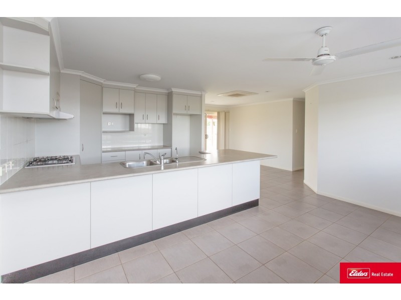 21 Ruddell Close, Marian QLD 4753