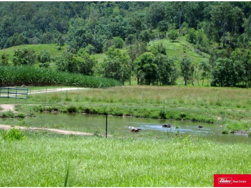 3853 Mackay Eungella Road, Gargett QLD 4741