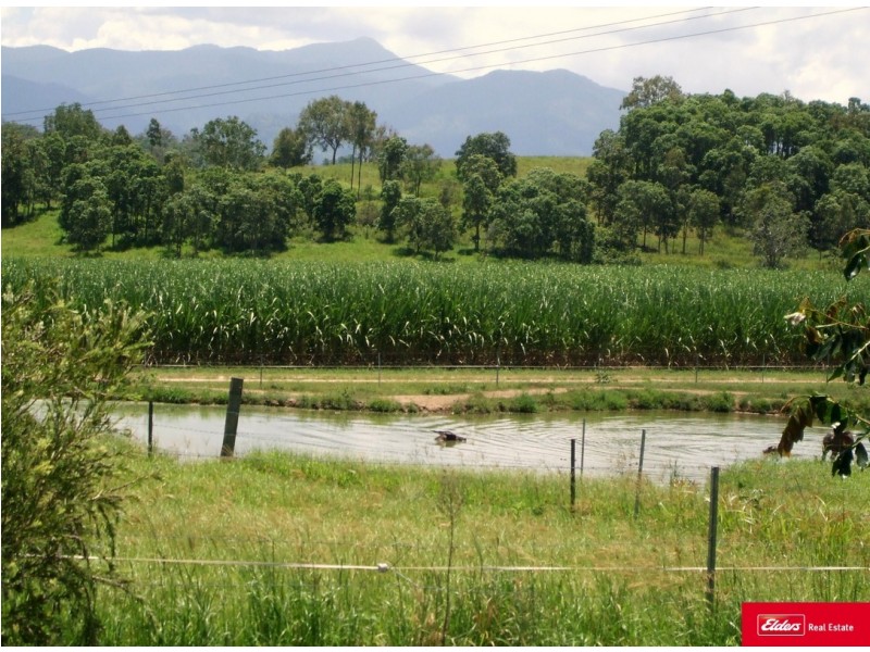 3853 Mackay Eungella Road, Gargett QLD 4741