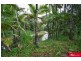 489 Gorge Road, Finch Hatton QLD 4756
