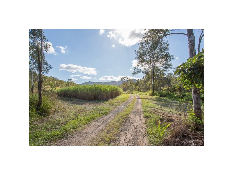Lot 109 T Jenners Road, Dows Creek QLD 4754