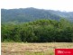 590 Gorge Road, Finch Hatton QLD 4756