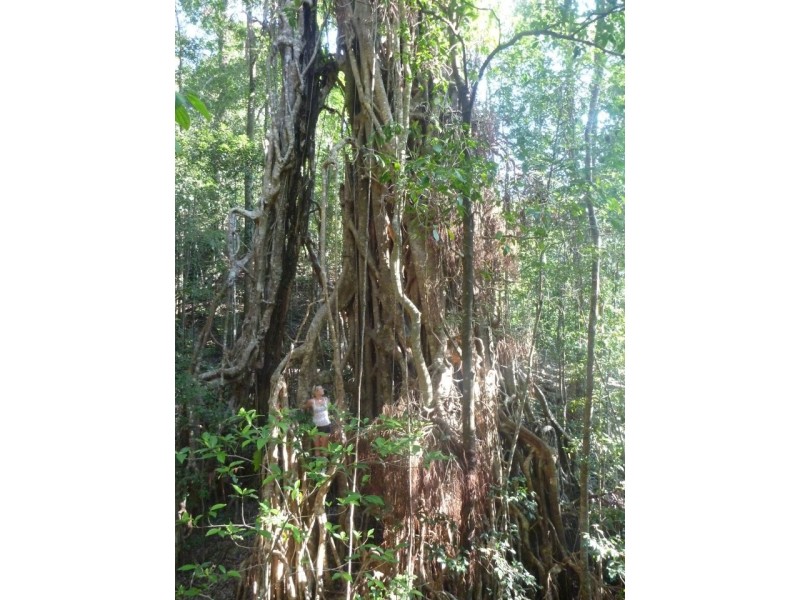 10/14 Boulder Road, Finch Hatton QLD 4756