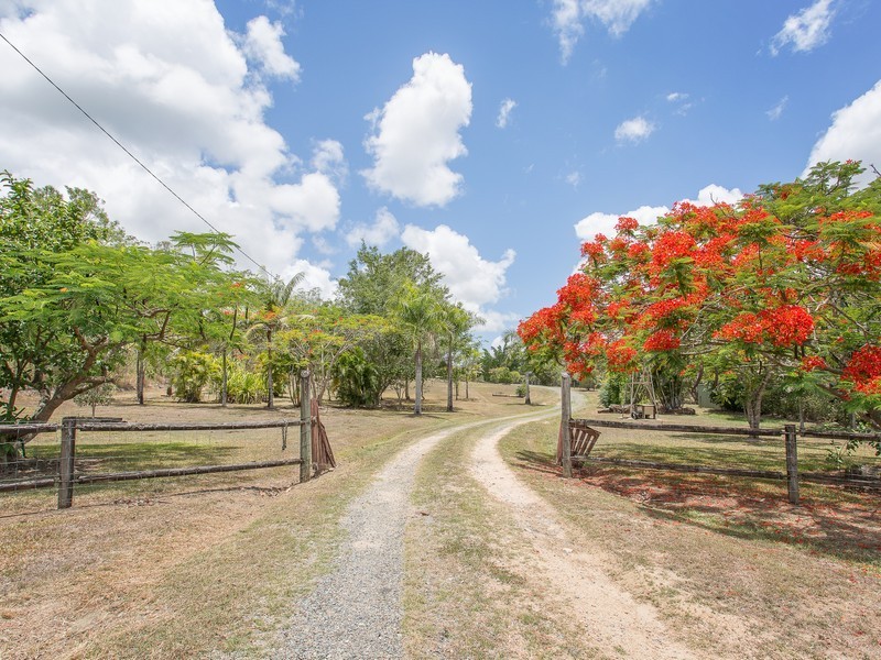 538 Mount Martin Loop Road, Mount Martin QLD 4754