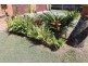 113 Grendon Street, North Mackay QLD 4740