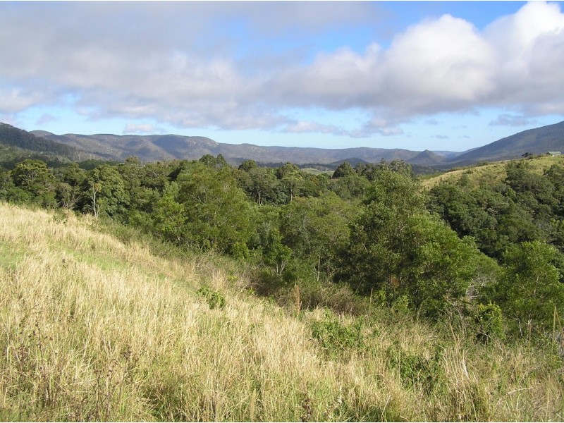 114 Bee Creek Road, Eungella QLD 4757