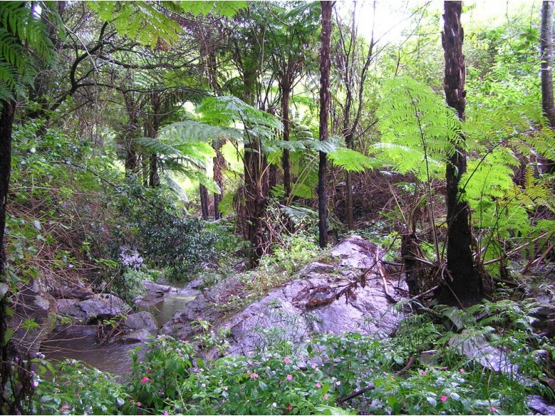 114 Bee Creek Road, Eungella QLD 4757