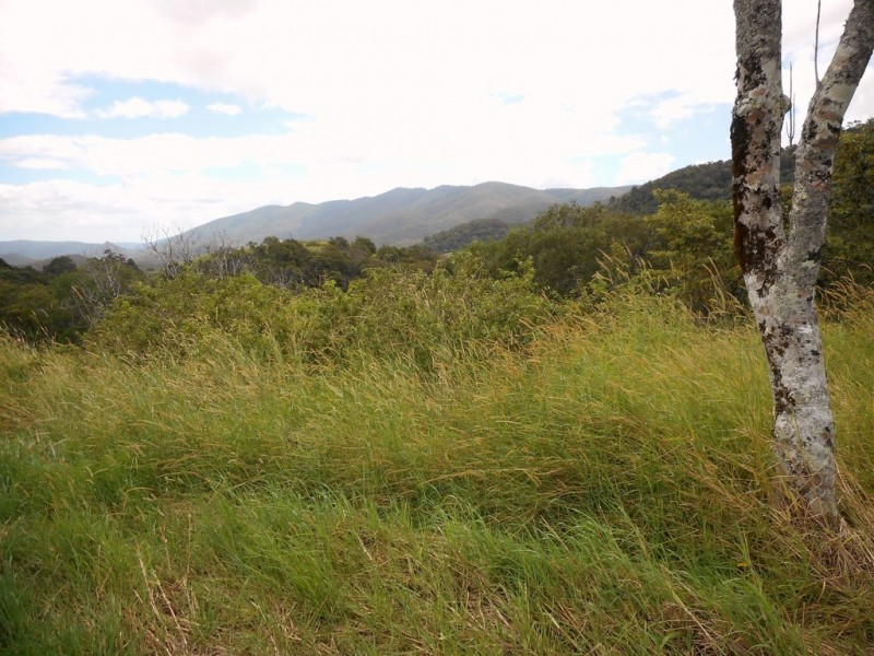 114 Bee Creek Road, Eungella QLD 4757