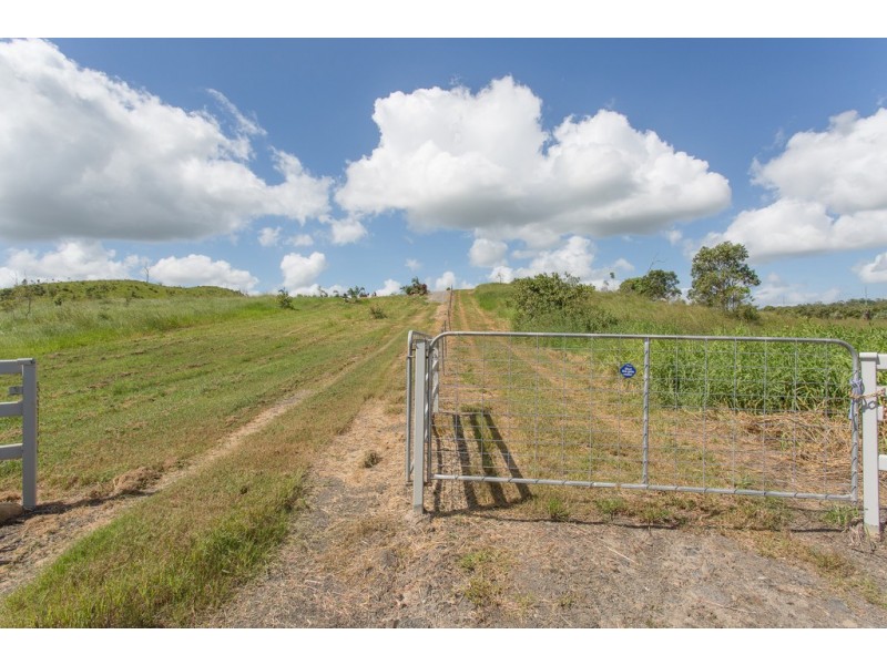20 Giumellis Road, The Leap, Hampden QLD 4741