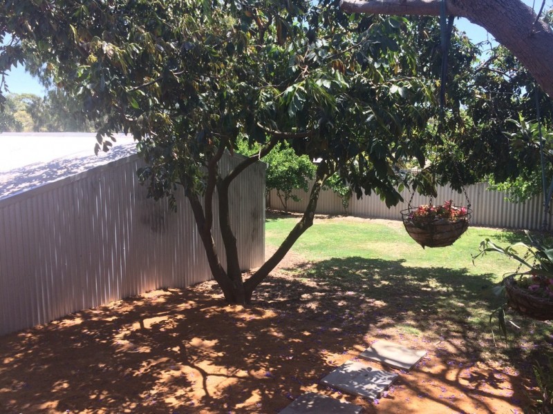 46 COWCHER WAY, Medina WA 6167