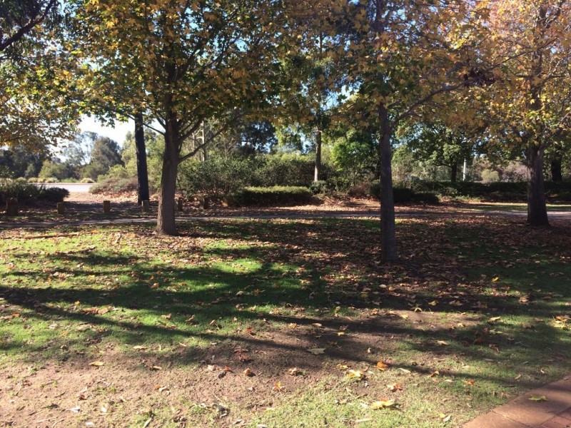 25 BRIDGEMAN WAY, Baldivis WA 6171