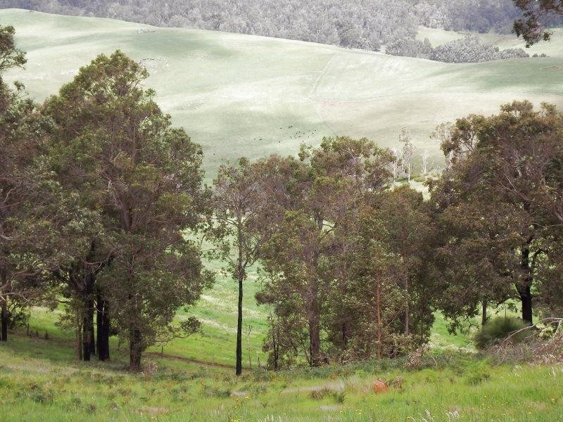 31 Manor Ridge, Bridgetown WA 6255