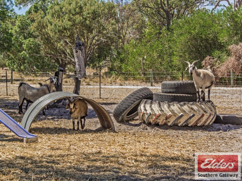 171 Barker Road, Wellard WA 6170