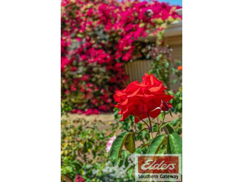 90 Cambridge Crescent, Cooloongup WA 6168