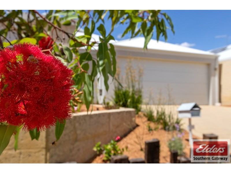 181 Lambeth Circle, Wellard WA 6170