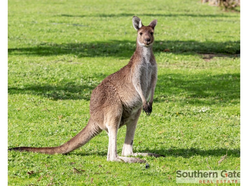 73 Hayward Road, Martin WA 6110