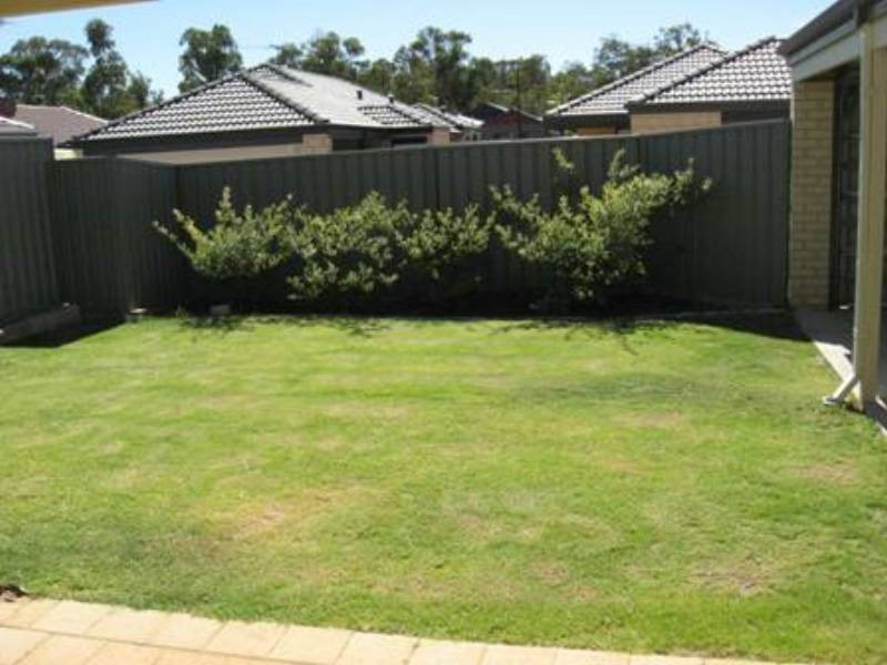 6 Charvil Mews, Wellard WA 6170
