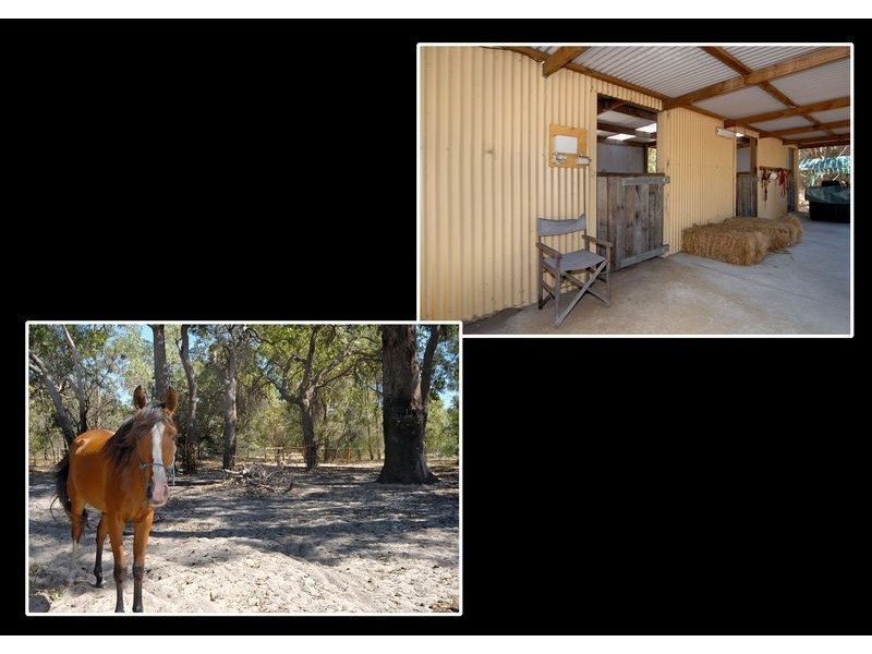 51 Wicksteed Close, Baldivis WA 6171