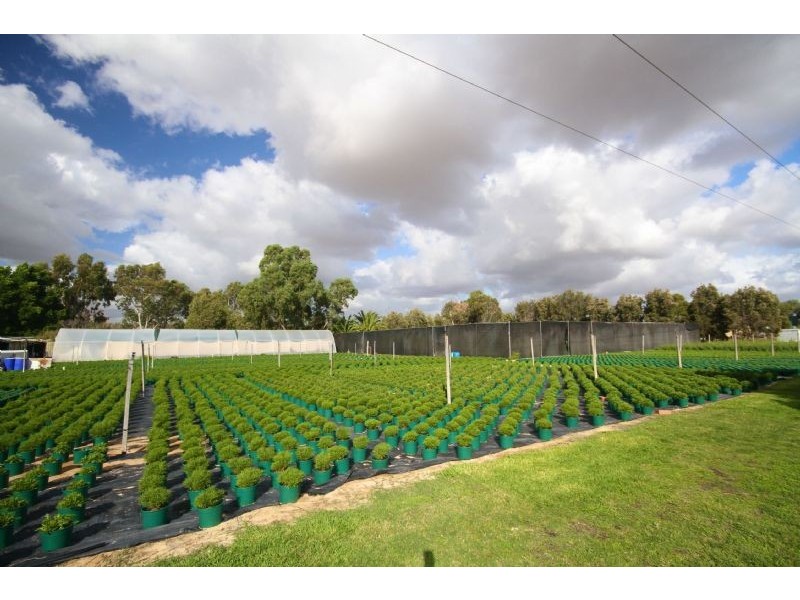 874  Armadale Road, Forrestdale WA 6112