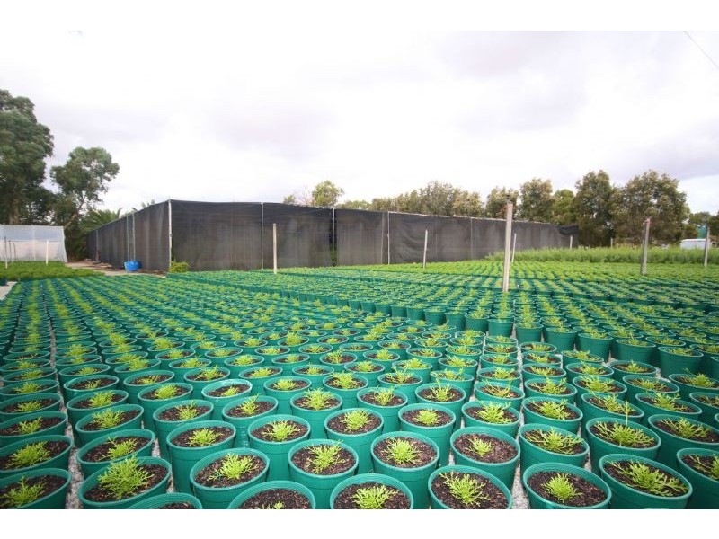 874  Armadale Road, Forrestdale WA 6112