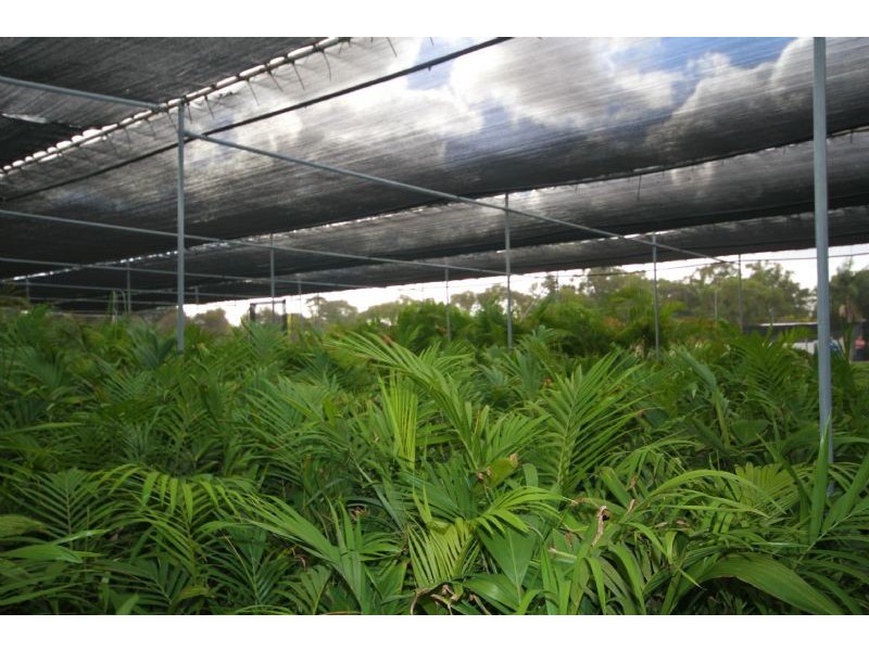 874  Armadale Road, Forrestdale WA 6112