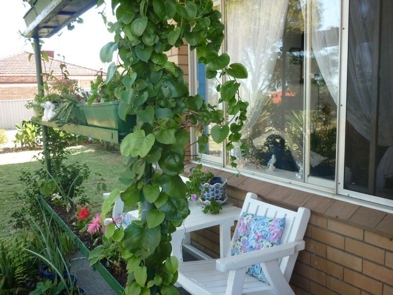 Unit 3/16 Edeline Street, Spearwood WA 6163