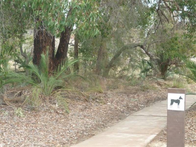 38B McCallum Crescent, Ardross WA 6153