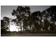 13 Cookham Green, Wellard WA 6170