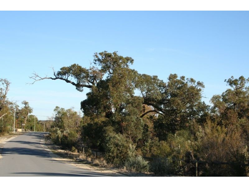 513 McKeig Drive, Wellard WA 6170