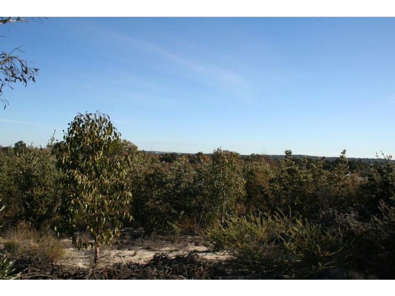 513 McKeig Drive, Wellard WA 6170