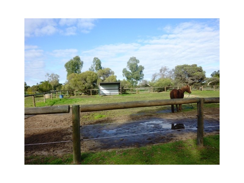 342 Young Road, Baldivis WA 6171