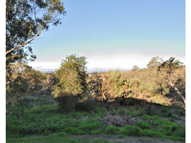 83 Bodeman Road, Wandi WA 6167