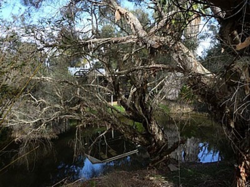 342 YOUNG ROAD, Baldivis WA 6171