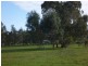 342 Young Road, Baldivis WA 6171