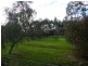 342 Young Road, Baldivis WA 6171